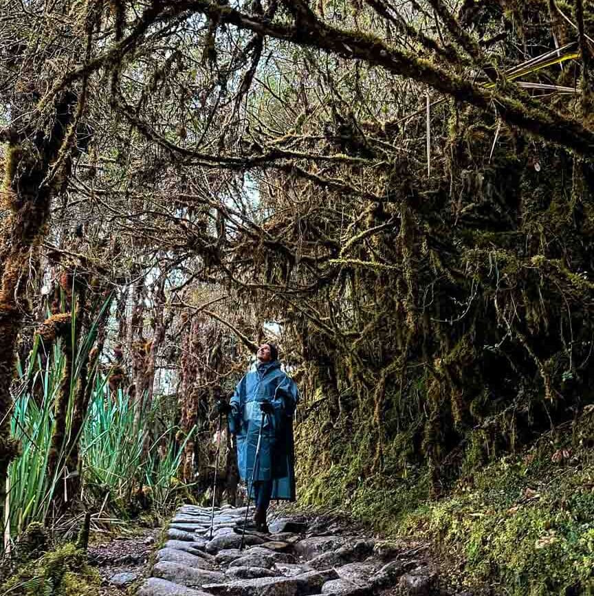 inka trail peru wandern durch den nebelwald