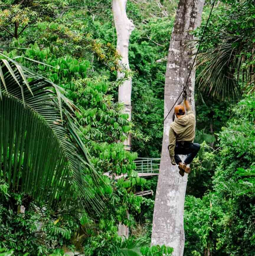 peru amazonas tambopata ziplining