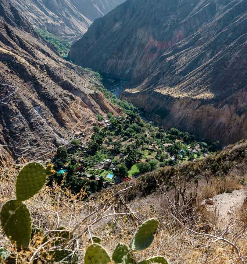 peru colca canyon oase