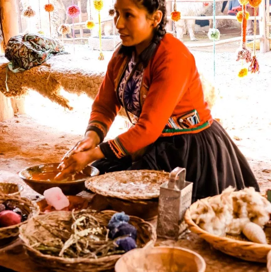 peru sacred valley chincheron alpaka