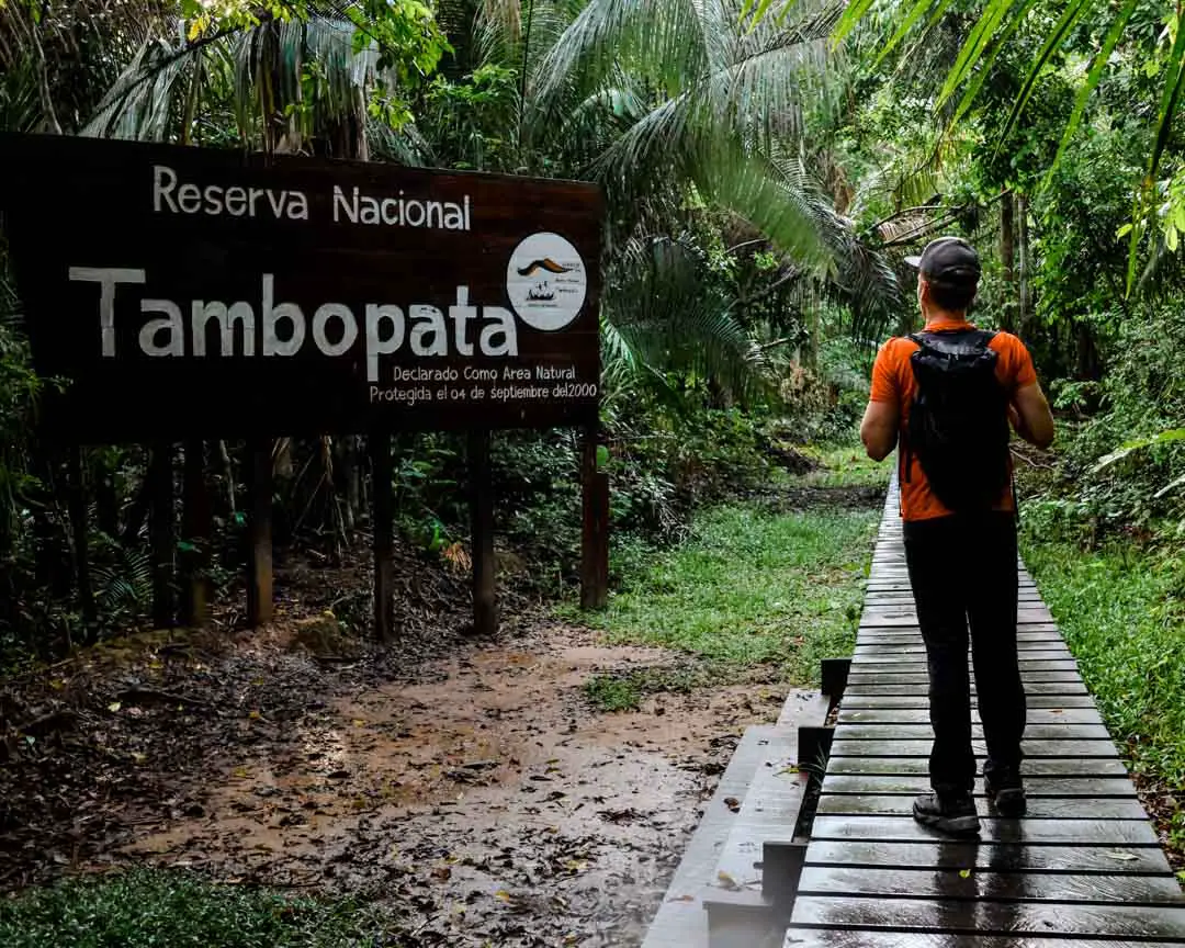 Peru Tambopata Nationalpark