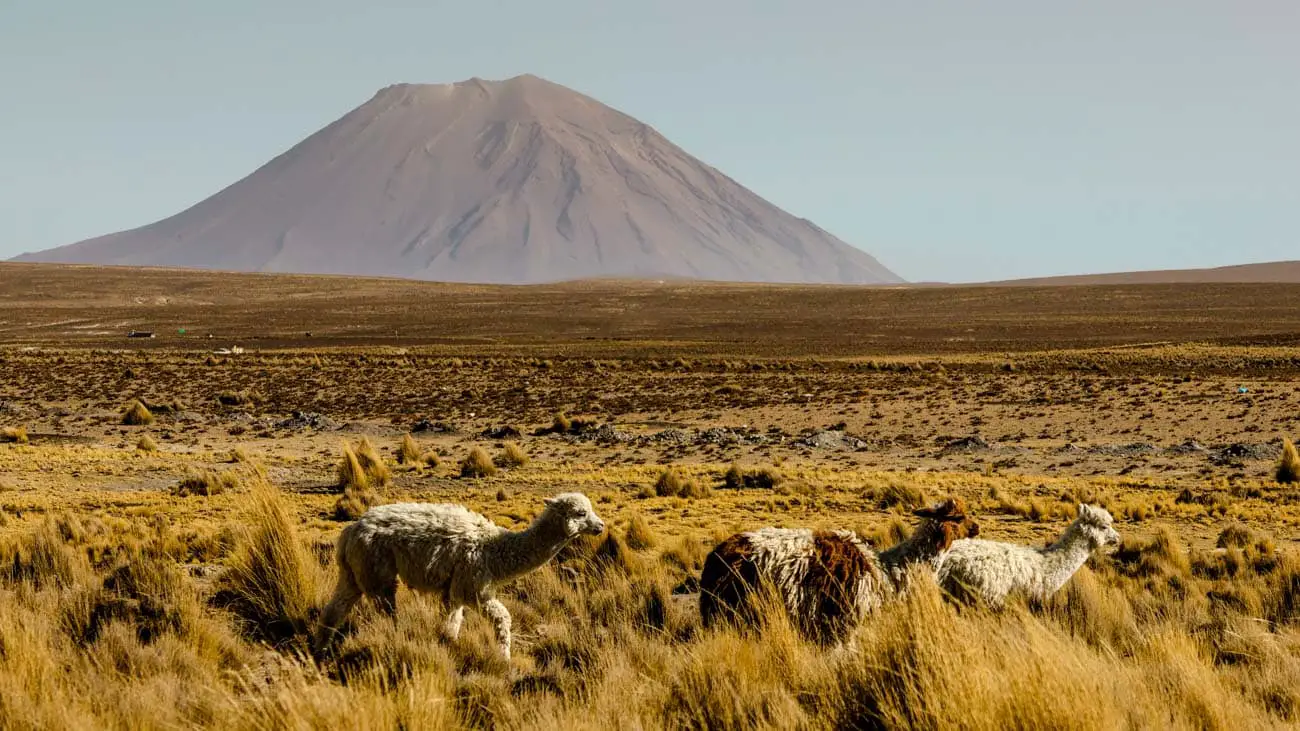 peru vulkan misti