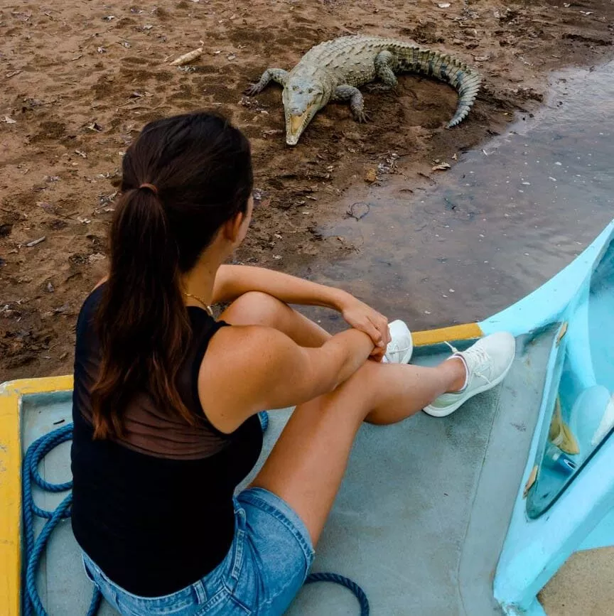 costa rica rundreise crocodile tour costa rica rundreise crocodile tour