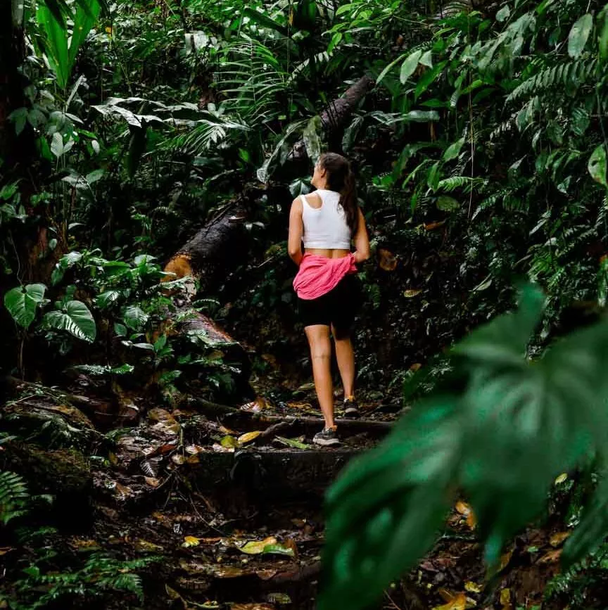 costa rica rundreise la fortuna mirador el silencio costa rica rundreise la fortuna mirador el silencio