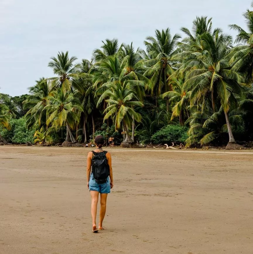 costa rica rundreise Marino Ballena strand