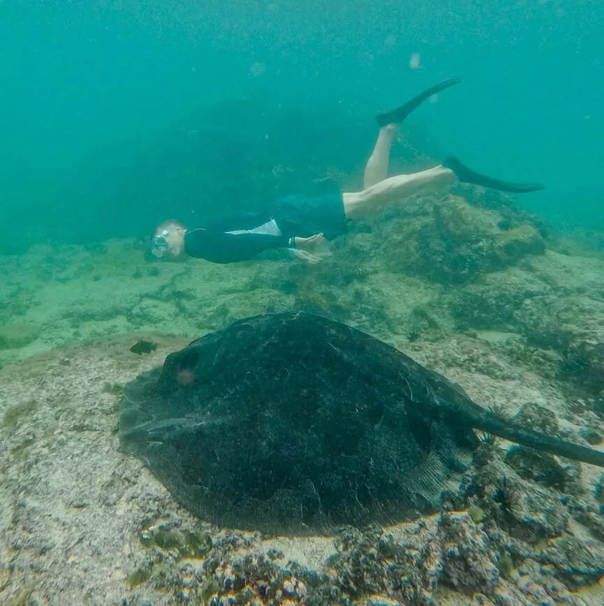 galapagos inseln isla isabela concha de perla 2