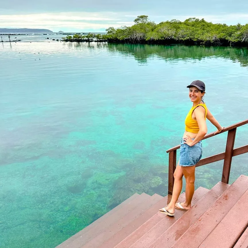 galapagos inseln isla isabela concha de perla