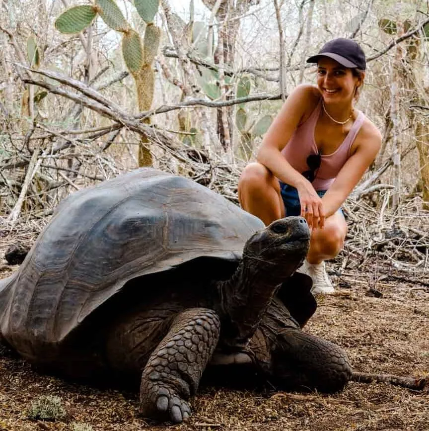 galapagos inseln isla isabela riesenschildkroete wall of tears