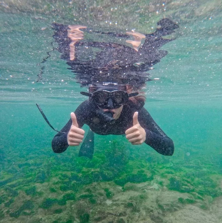 isla isabela galapagos inseln los tunneles tour 7