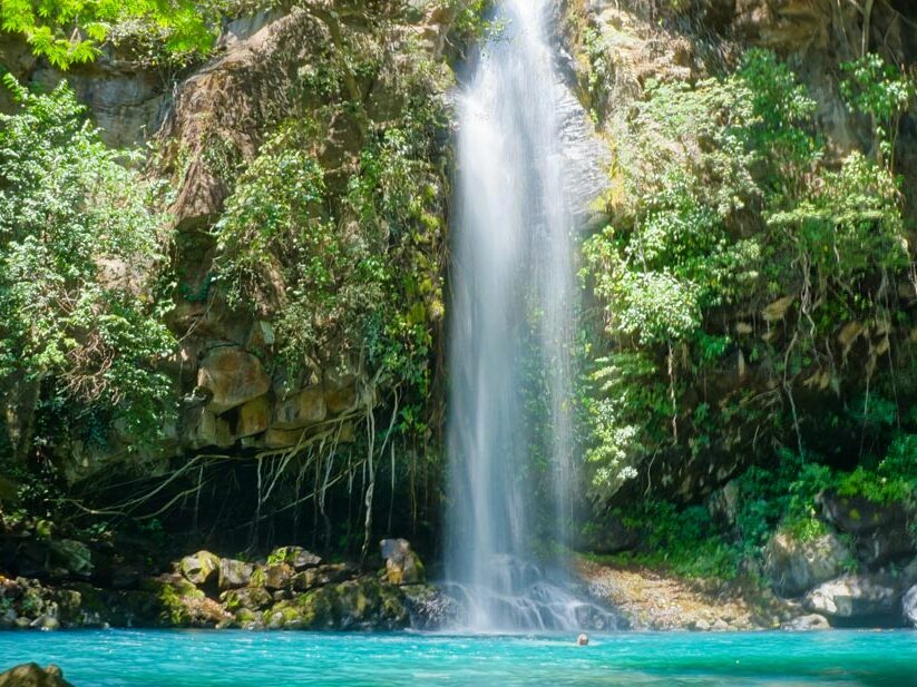 istock 1436964881 wirestock e1672794667313