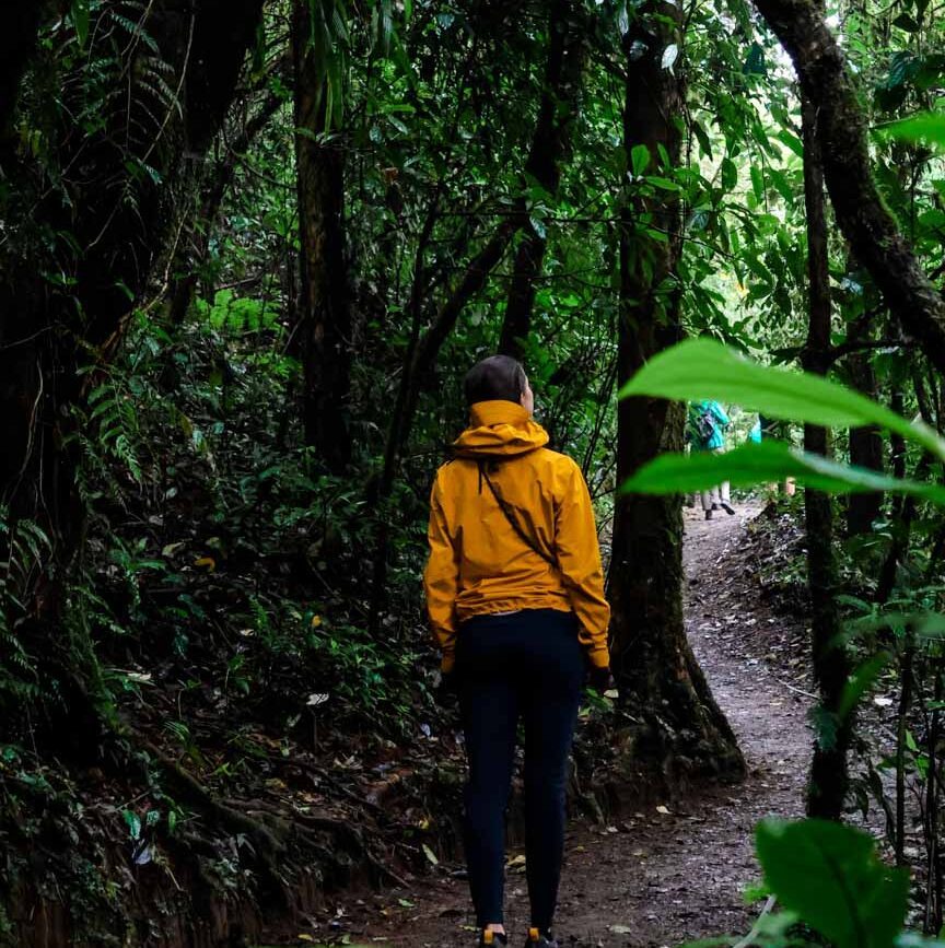 monteverde 52 von 89