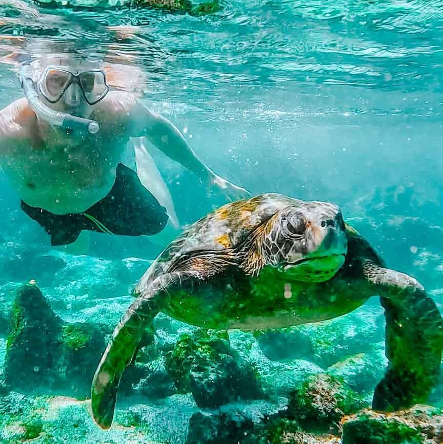 schnorcheln san cristobal loberia