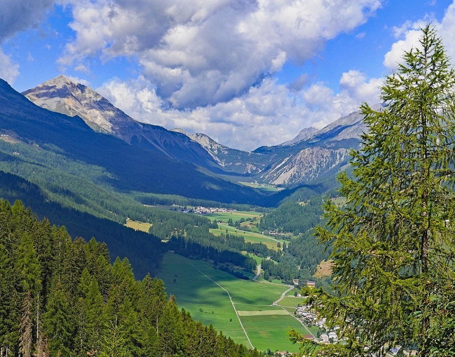 Schweizerischer Nationalpark
