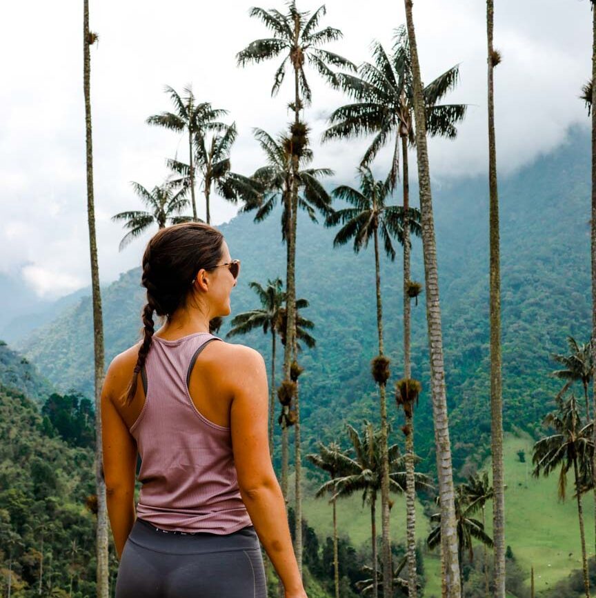 Cocora Valley Wachspalmen Kolumbien
