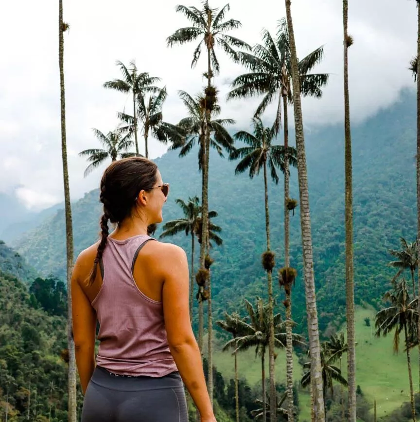 Cocora Valley Wachspalmen Kolumbien