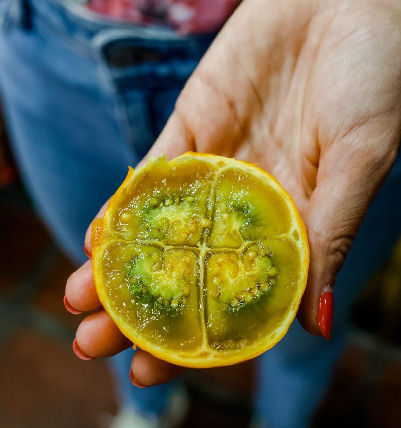 kolumbien medellin fruit tour 3