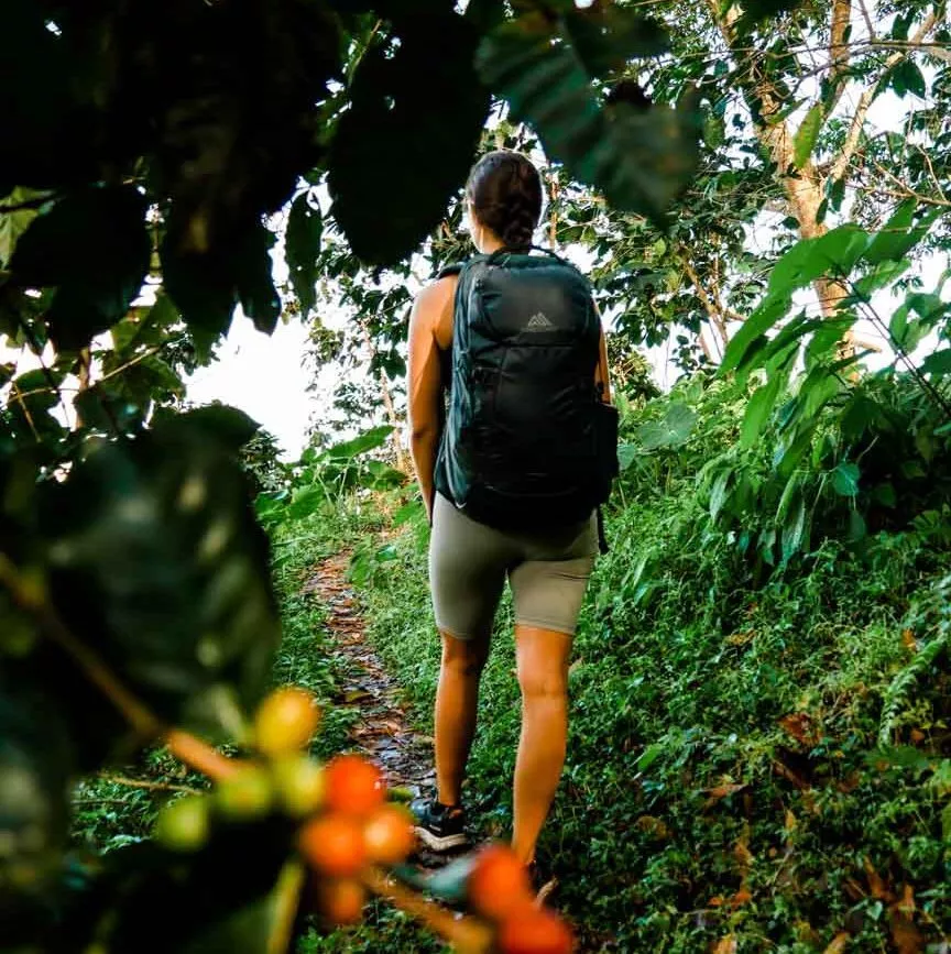 kolumbien minca kaffeeplantage kolumbien minca kaffeeplantage