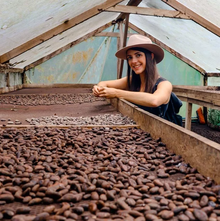 la fortuna costa rica trocknen der kakaobohnen la fortuna costa rica trocknen der kakaobohnen