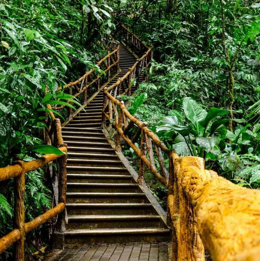 la fortuna wasserfall costa rica treppe mit 600 stufen la fortuna wasserfall costa rica treppe mit 600 stufen