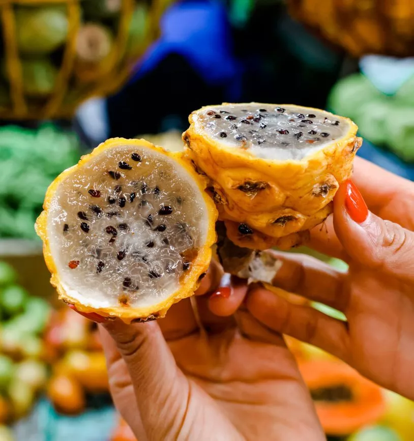 medellin kolumbien dragon fruit