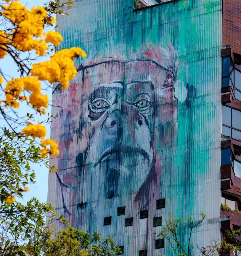 Medellín Kolumbien Graffiti El Poblado