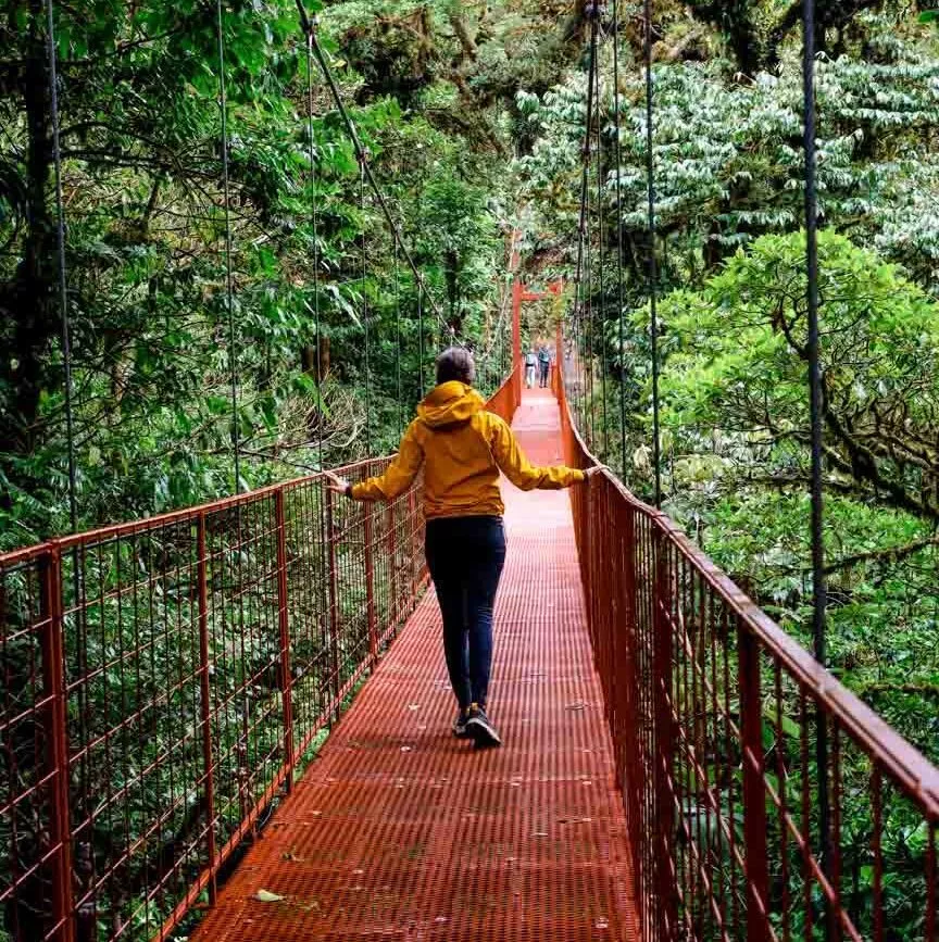 Monteverde Costa Rica Hängebrücke
