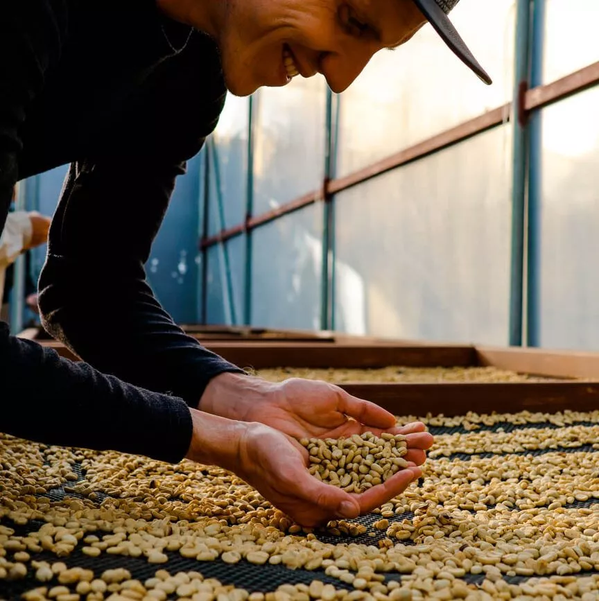 Monteverde Costa Rica Kaffeeröstung