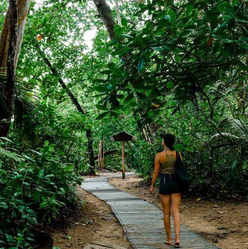 Puerto Viejo Costa Rica Cahuita Nationalpark Wanderweg