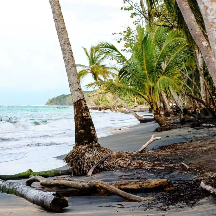 Puerto Viejo Costa Rica Manzanillo Beach