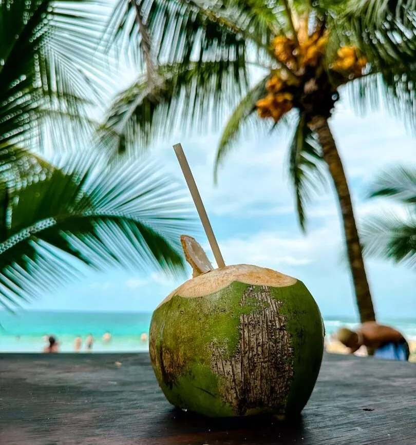 Puerto Viejo Costa Rica Punta Uva