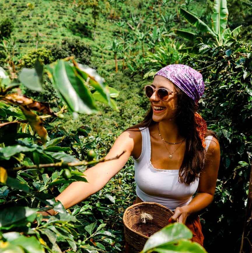 Salento Kolumbien Kaffeetour