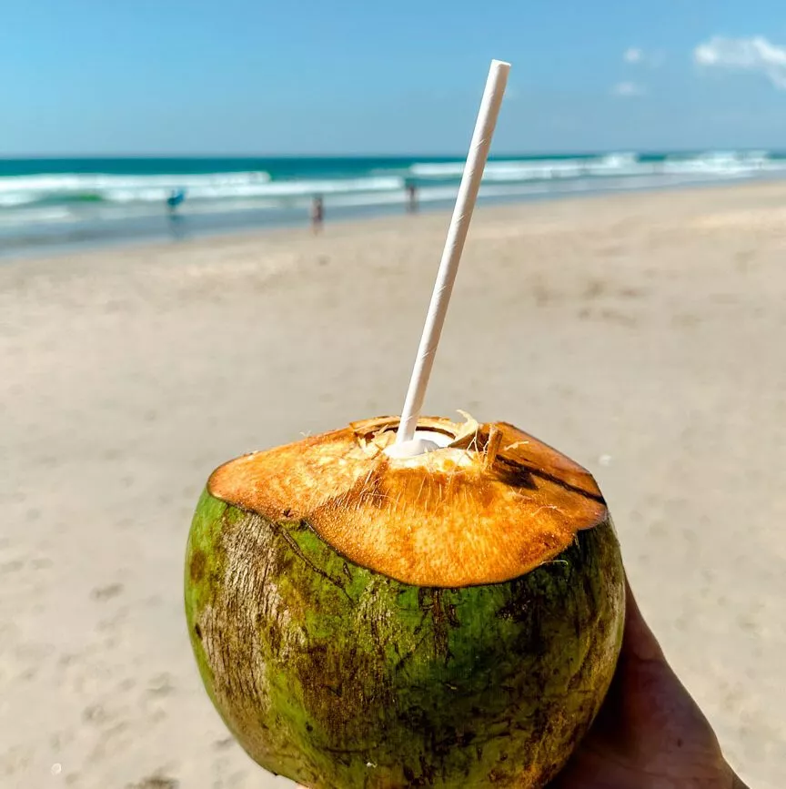 Santa Teresa Costa Rica Kokosnuss am Strand