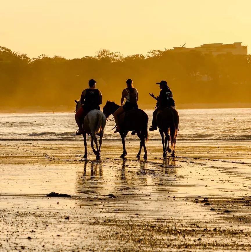 Tamarindo Costa Rica Playa Grande