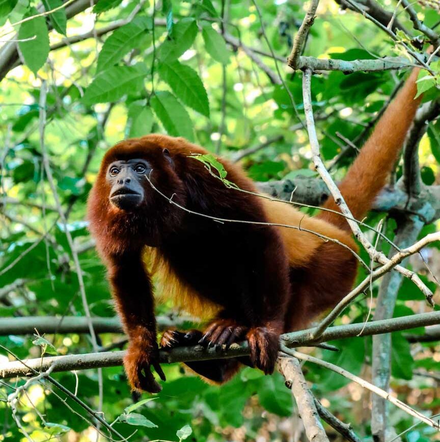 Tayrona Nationalpark Kolumbien