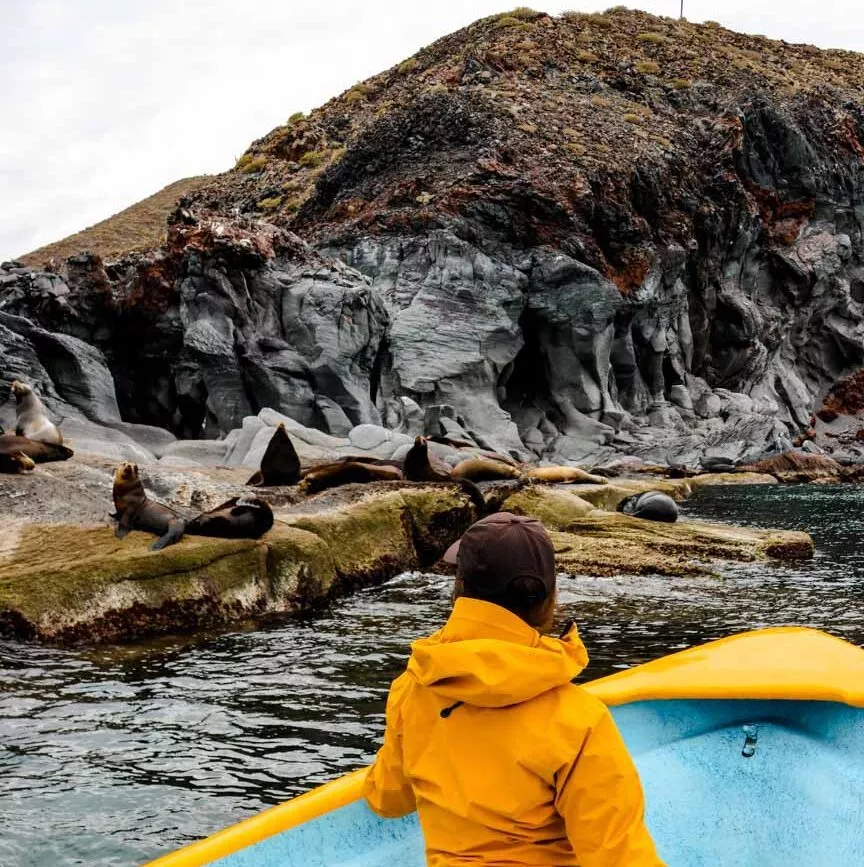 Baja California Sur Mexiko Loreto Isla Coronado