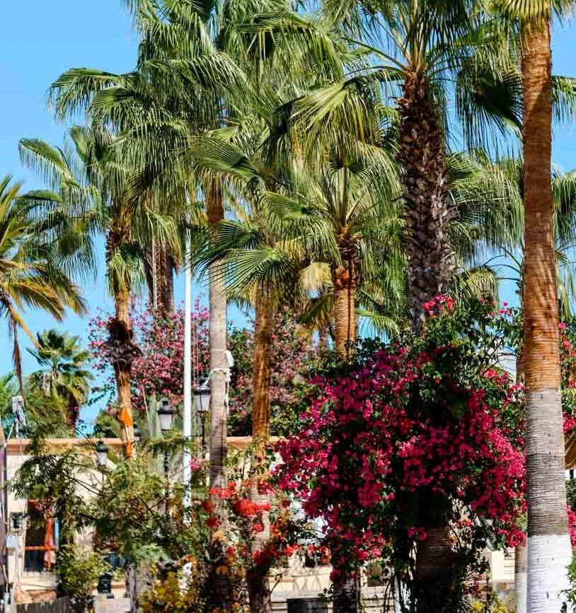 baja california sur mexiko todos santos ortschaft baja california sur mexiko todos santos ortschaft