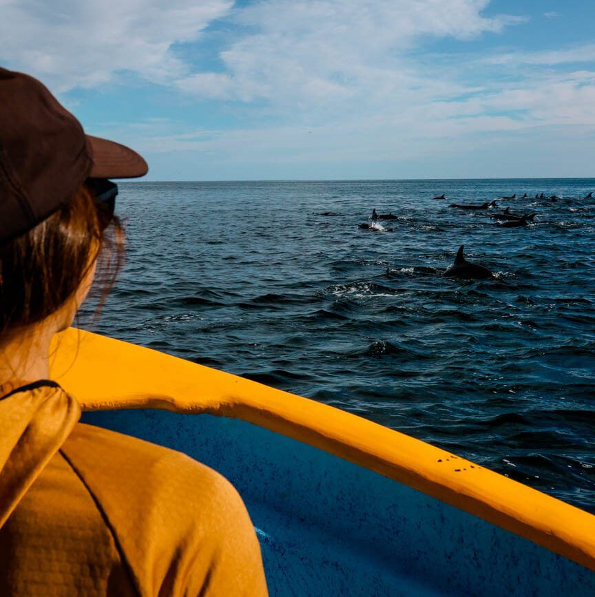 Blauwaltour Baja California Sur Mexiko