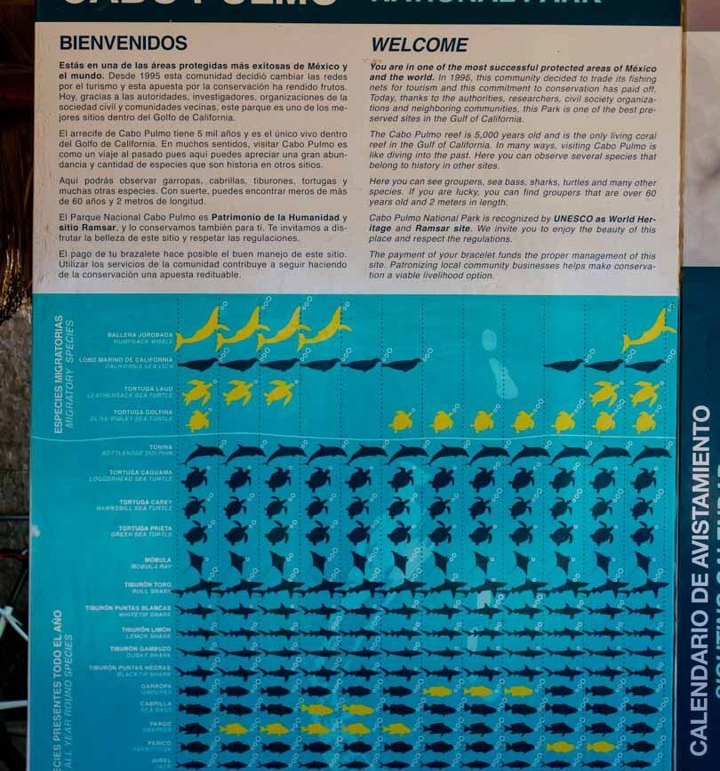 Cabo Pulmo Marine National Park Baja California Sur Mexiko