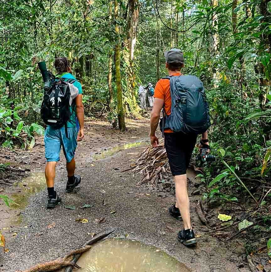 Corcovado Nationalpark Costa Rica Wanderung mit Rodolfo