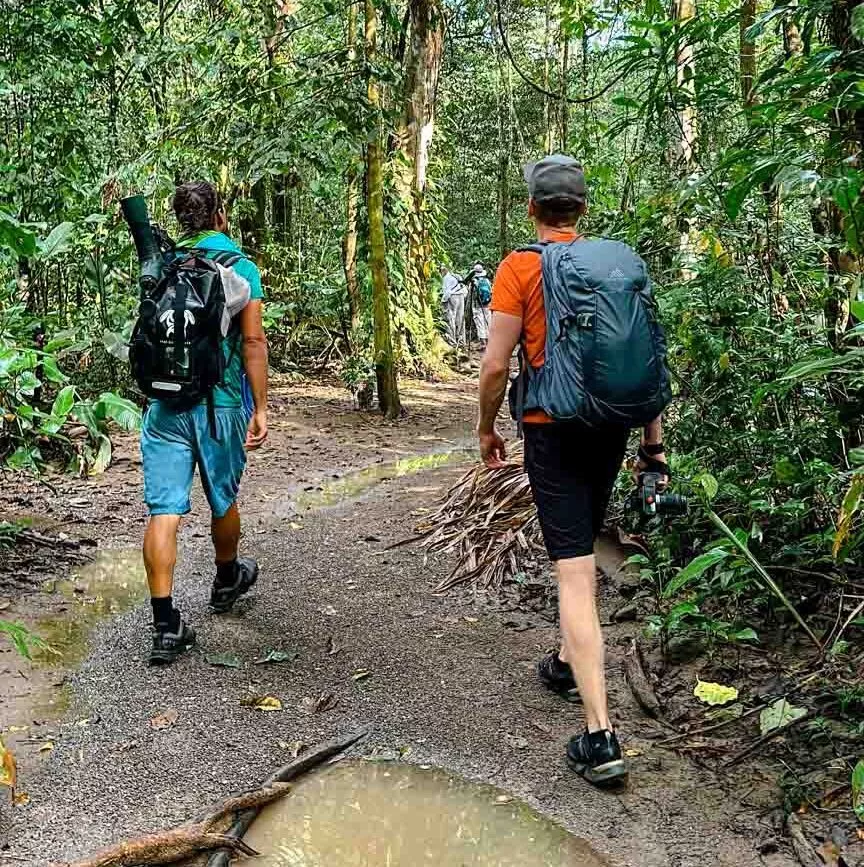 Corcovado Nationalpark Costa Rica Wanderung mit Rodolfo