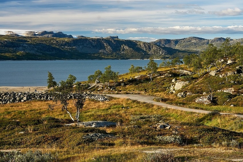 hardangervidda nationalpark