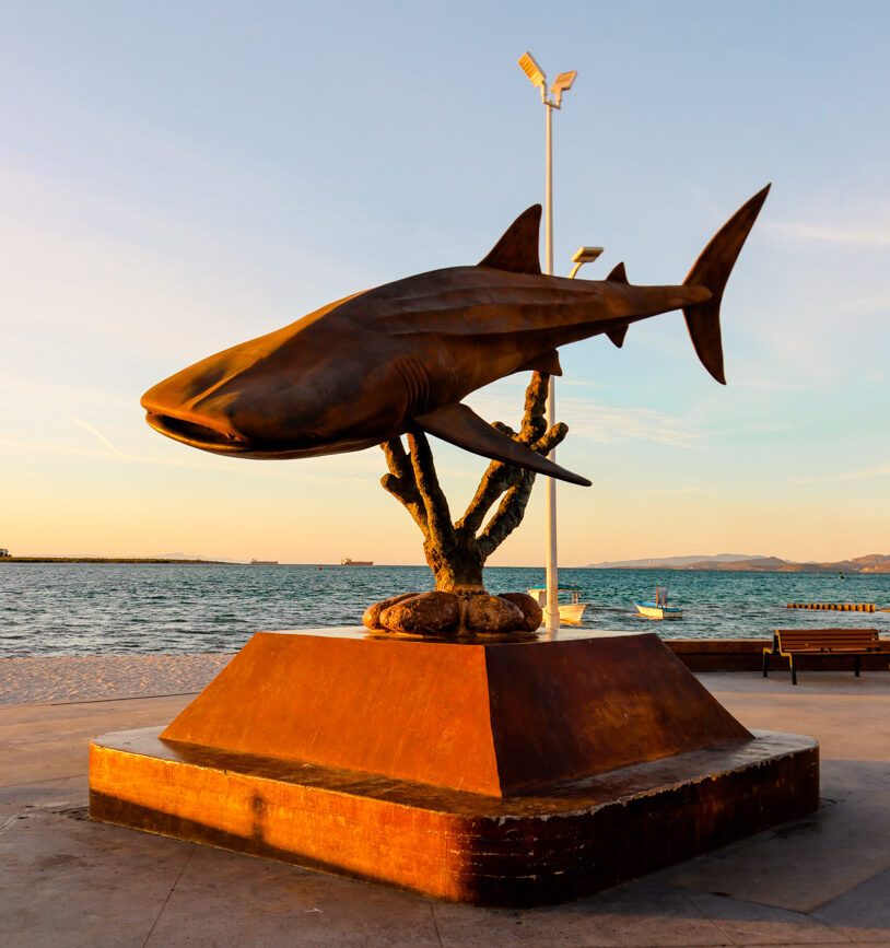 Malecon La Paz Baja California Sur Mexiko