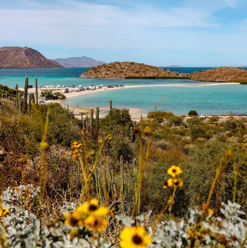 Playa el Requeson bei Bahía Concepción Baja California Sur Mexiko