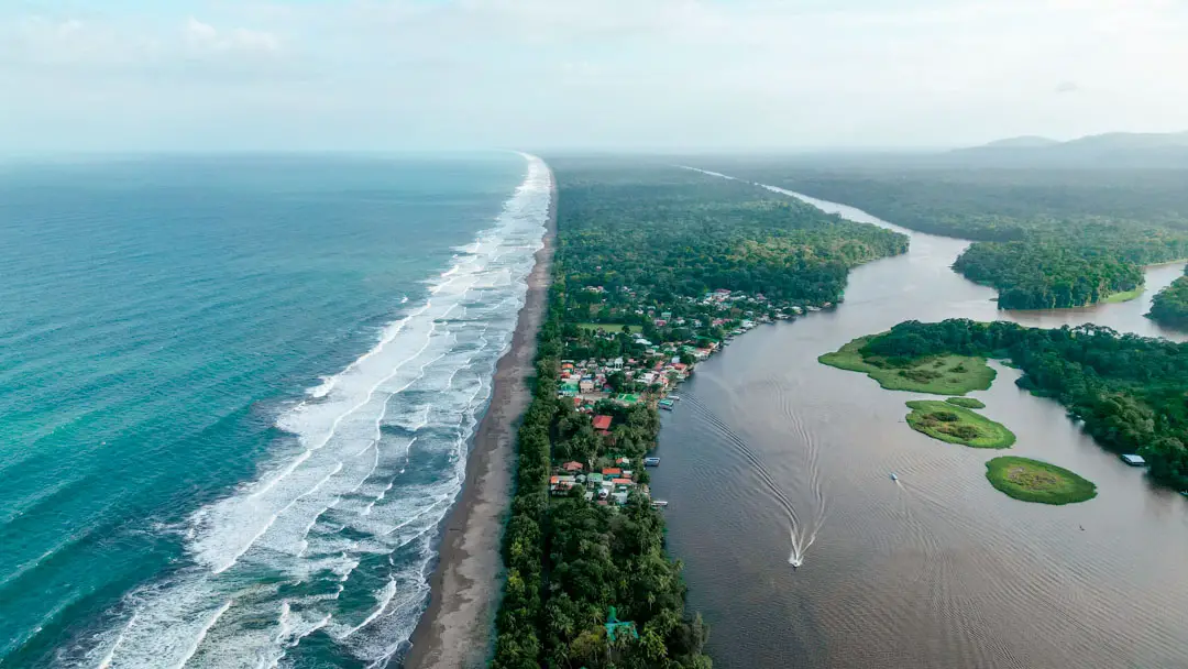 Tortuguero Nationalpark Costa Rica 4