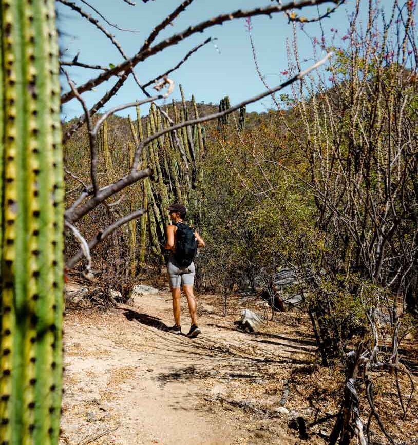 Wanderung El Chorro Baja California Sur Mexiko