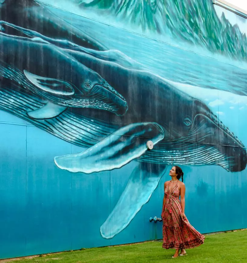 Hawaii Wal-Graffiti auf Kauai