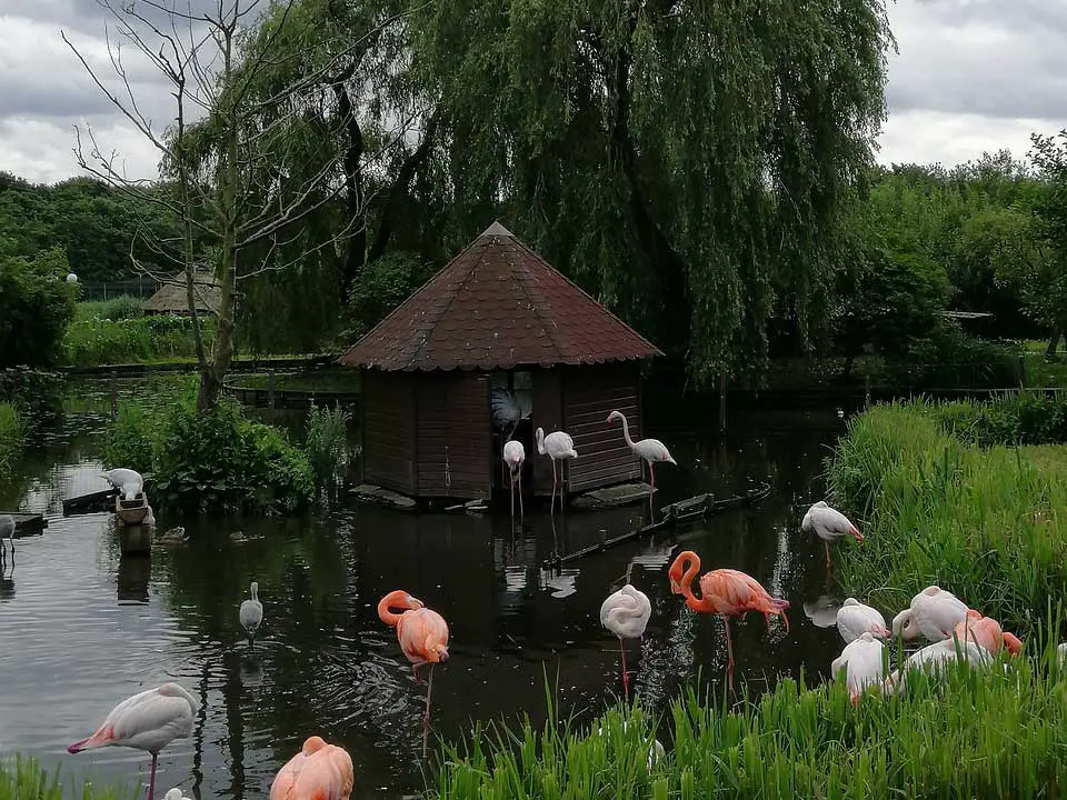 Vogelpark Niendorf