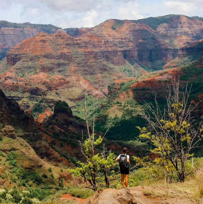 Waimea Canyon Kauai Hawaii Kukui Trail