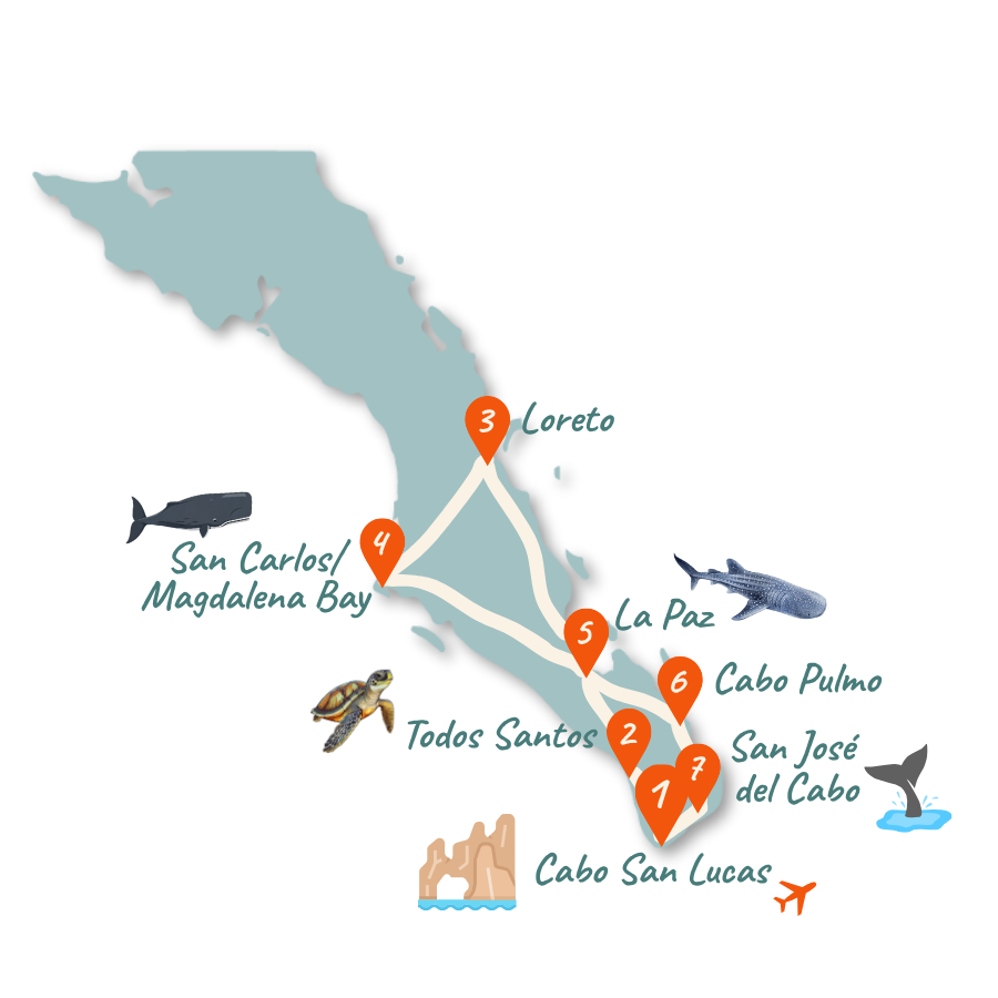 Baja California 2 Wochen Karte 01