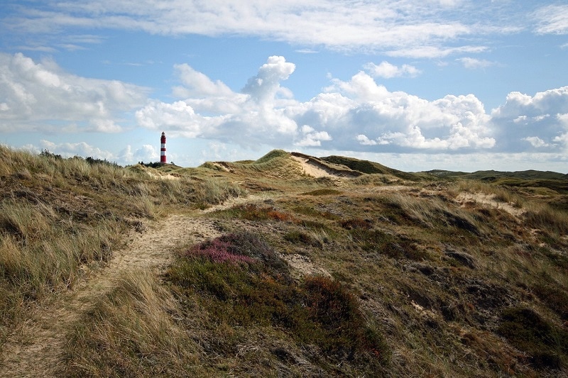 amrum